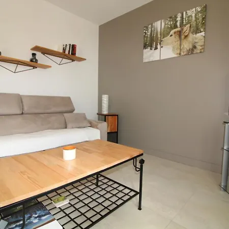 Au Bord Du A Apartment Gerardmer